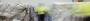 NZSCLE0002S8 - Scales Corporation Ltd 33691320