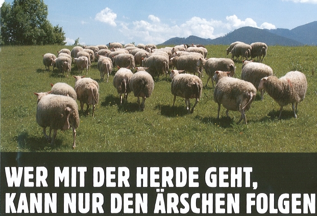 ich glaub die Lichter gehen aus 220343