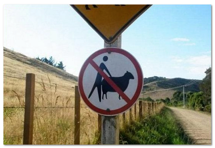 Injex AG - Wahrheit und Träumerei 524427