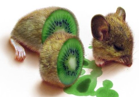 VG Gold ( ISIN: CA9182161021 ) 177367