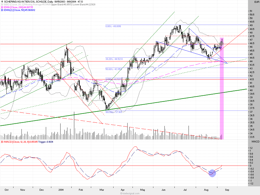 Einzelwerte zum TTT 1142