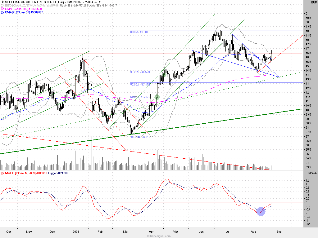 Einzelwerte zum TTT 1130