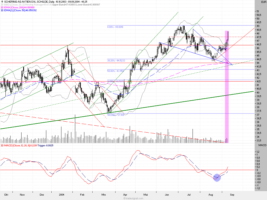 Einzelwerte zum TTT 1160