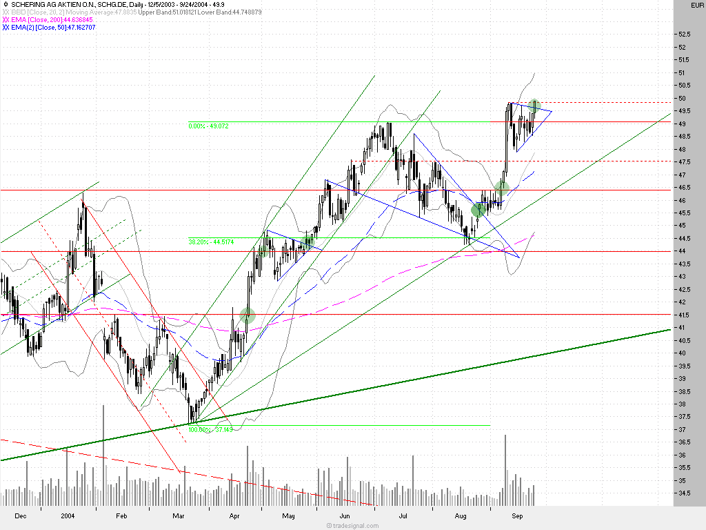 Einzelwerte zum TTT 1507