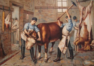 QV ultimate (unlimited) 615730