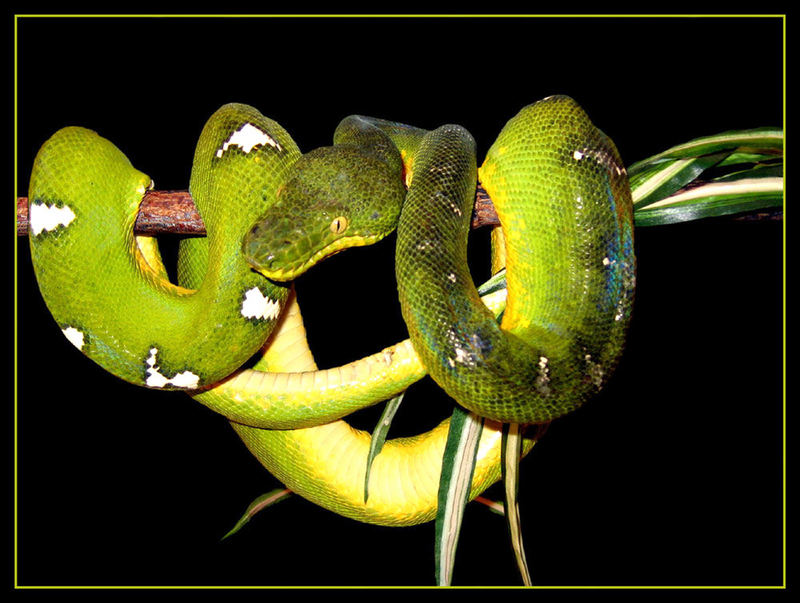 1057.DAX-Tipp-Spiel, Donnerstag 11.06.2009 237813