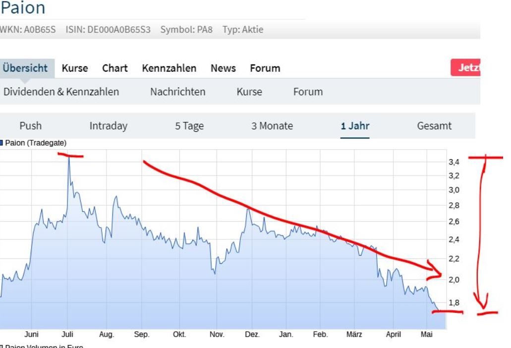 PAION Eine Fledermaus lernt wieder fliegen 1253754
