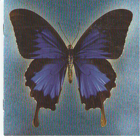 735.DAX Tipp-Spiel, Montag, 3.3.08 151963