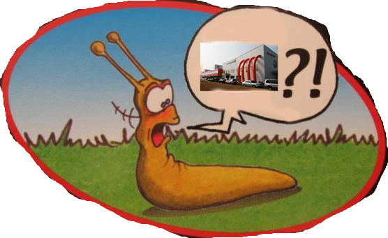 Zukunft gesichert! 700033