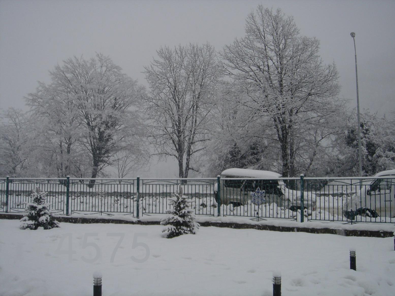 975.DAX Tipp-Spiel Do,12.02.09.17.45 Uhr 215899