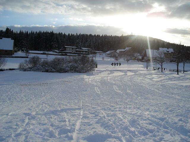 952.DAX Tipp-Spiel, Montag, 12.01.09, 17.45 Uhr 209535