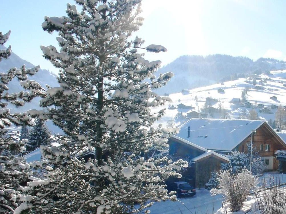 DAX-Tipps für die Urlauber Tippspiel von denkidee 78826