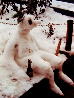 Norde Pro und Kontra 502852