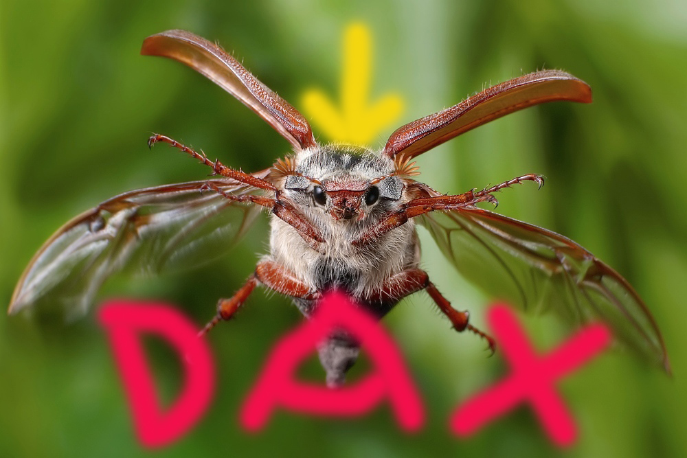 QV ultimate (unlimited) 602962