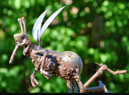 COOP News (ehemals: Wamu /WMIH) 1018553