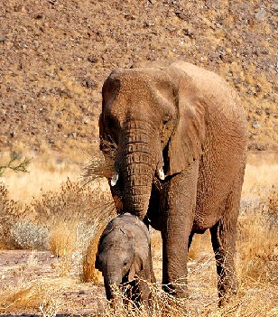 Lanxess - Neue Möglichkeiten ? 640086