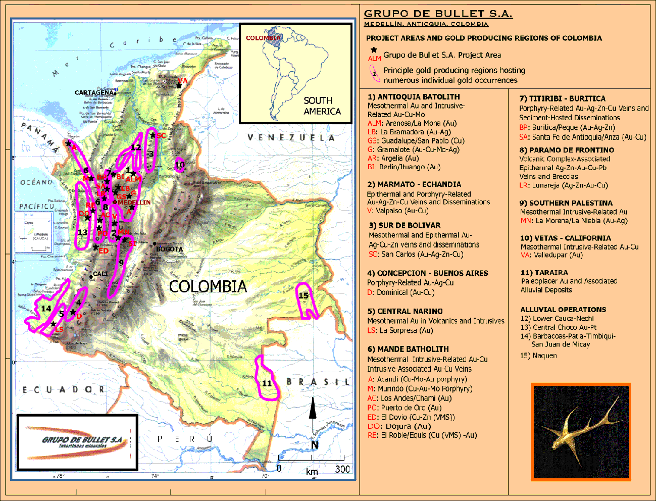 Colombia Goldfields 138244