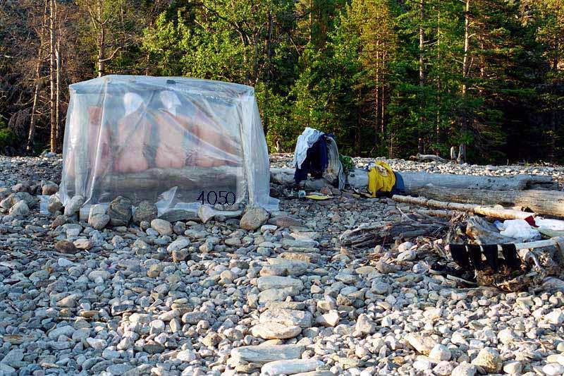 Die Links zu den Sternenkinder (DAX Spiel) 222540