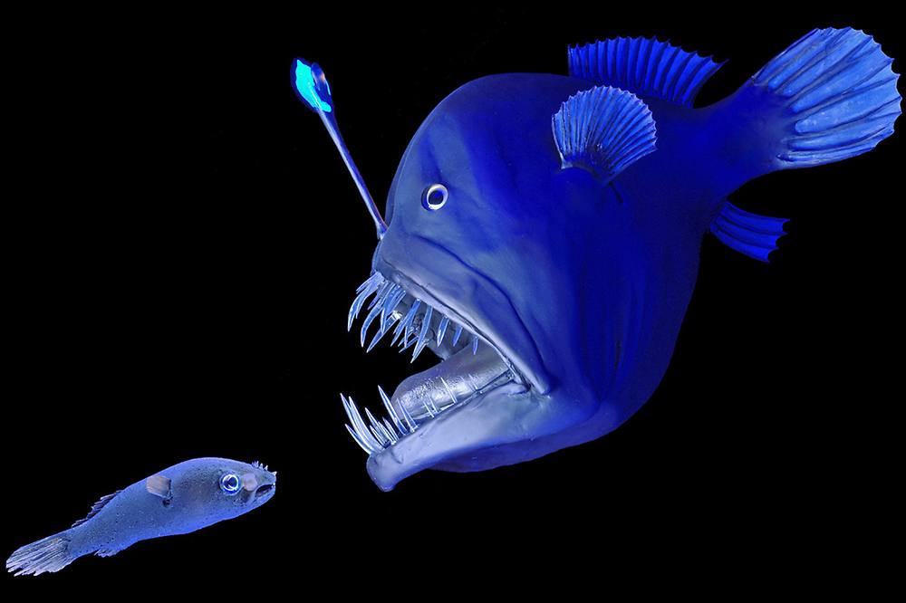 Conergy, Pro und Contra... 443722