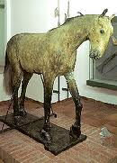 Gold traden - long bzw. short 750677