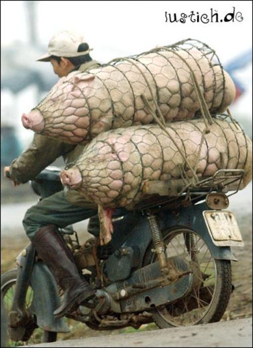 1.547.DAX Tipp-Spiel, Donnerstag , 12.05.11 402167