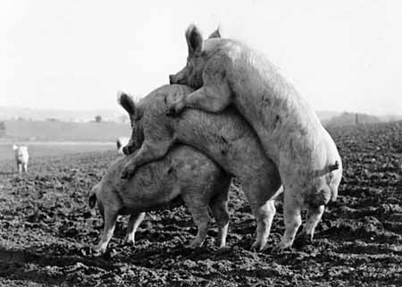 723.DAX Tipp-Spiel, Donnerstag, 14.02.08 148473