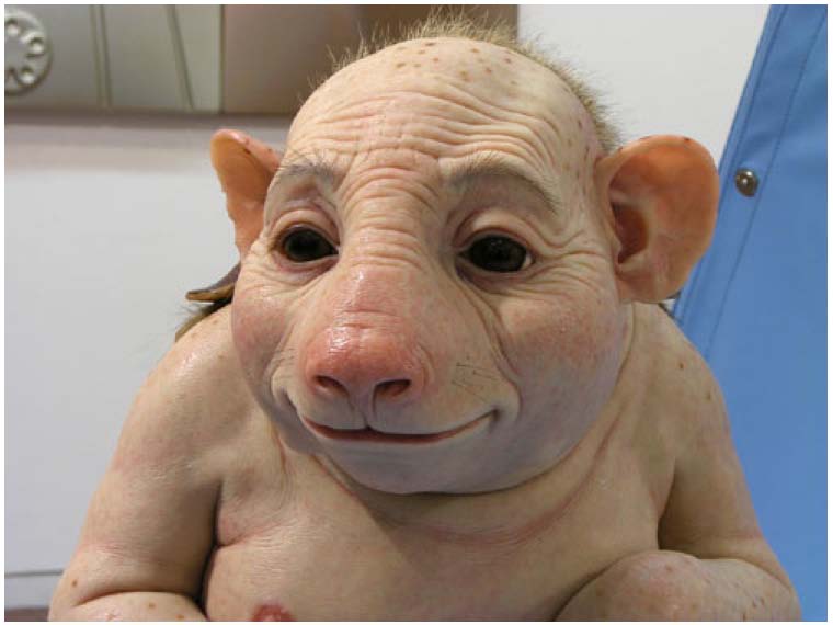 Drägerwerk, kein Träger Wert. 265093