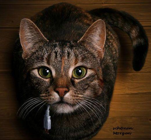 DAX-Tipps für die Urlauber Tippspiel von denkidee 107808