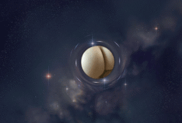 524.DAX Tipp-Spiel, Donnerstag, 03.05.07 95894