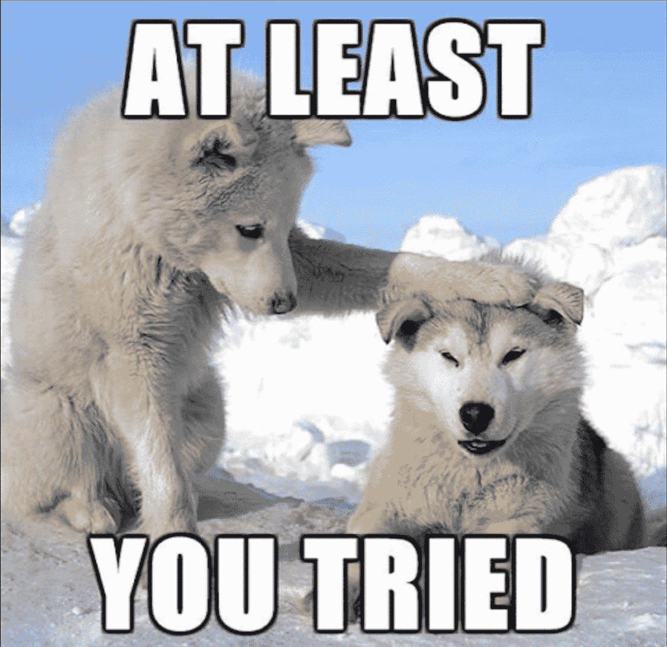 Wenn das Gold redet, dann schweigt die Welt! 1409918