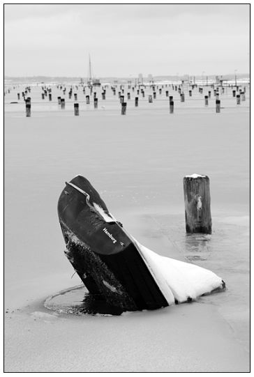 Der USA Bären-Thread 330950