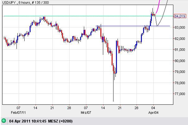 Bear Zocks - daily 393010