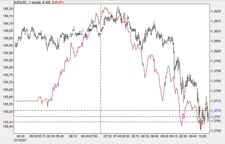 Der USA Bären-Thread 110802
