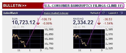 Der USA Bären-Thread 349208