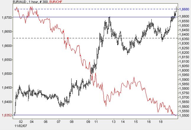 Der USA Bären-Thread 131957