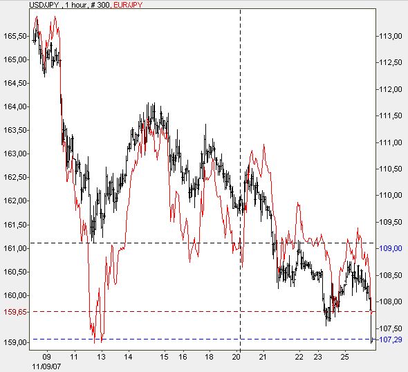 Der USA Bären-Thread 133119