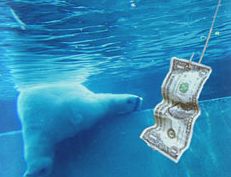  PTT-Trading 50. KW 135920