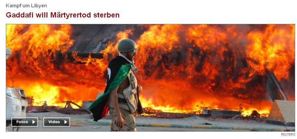 Der USA Bären-Thread 432641