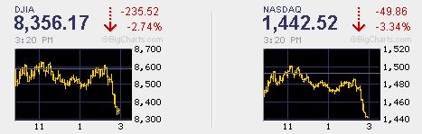 Der USA Bären-Thread 203706