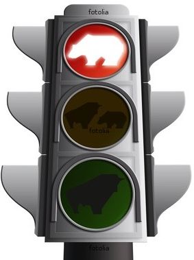 Der USA Bären-Thread 375744