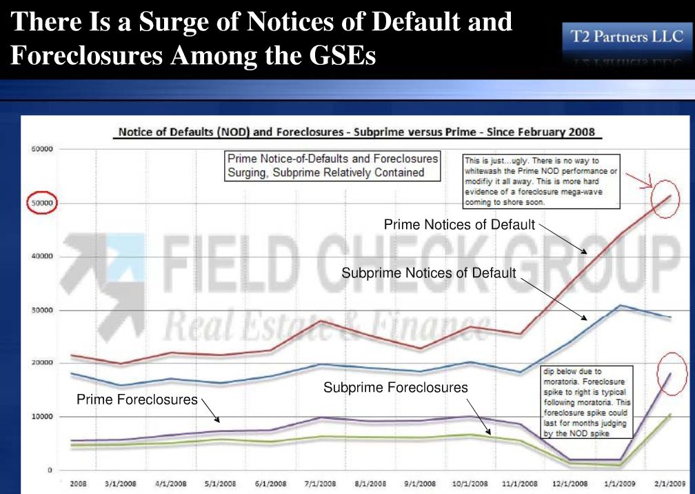 Der USA Bären-Thread 238006
