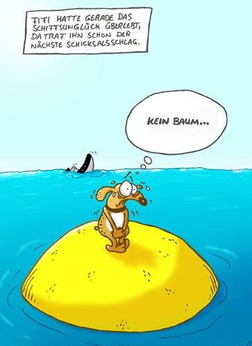 Der USA Bären-Thread 254597