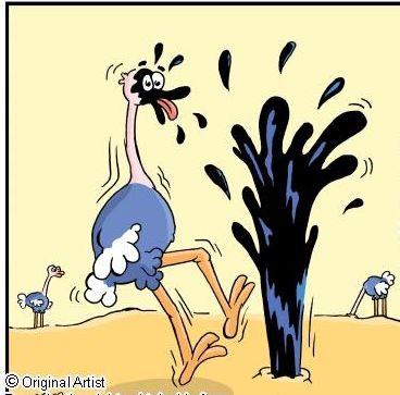 Der USA Bären-Thread 254921