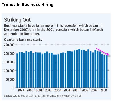 Der USA Bären-Thread 263057