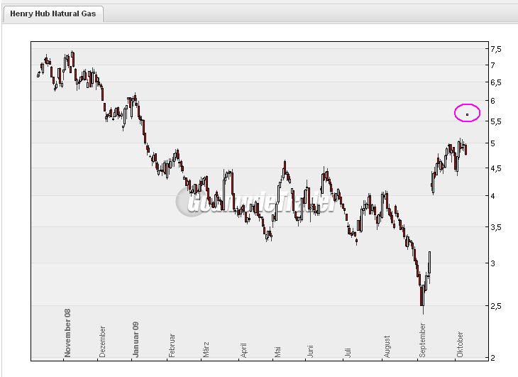 Der USA Bären-Thread 266217