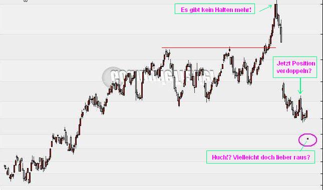 Der USA Bären-Thread 266248