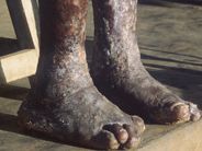 Dax 6000 keine Utopie mehr.... 267701