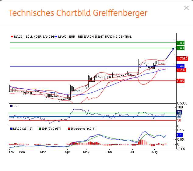 Greiffenberger - Turnaroundwert mit Nachholbedarf 1007412