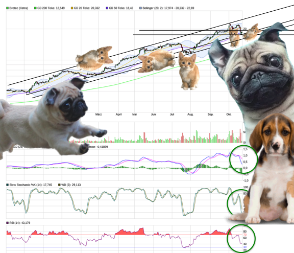 Forum 20 Plus - Evotec als Langfristinvest 1019635