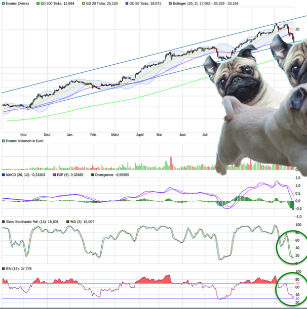 Forum 20 Plus - Evotec als Langfristinvest 1020349